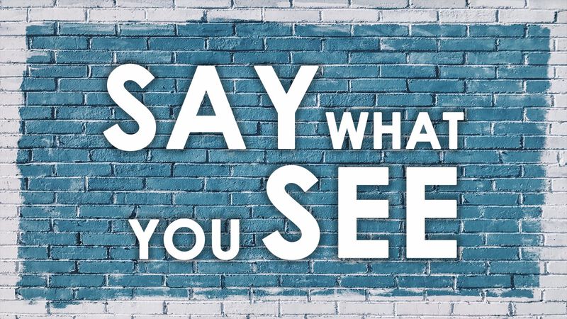 Say What You See